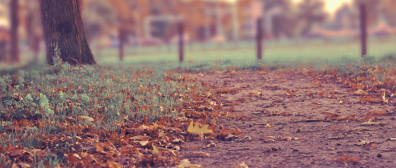 cc攻击免费网页版