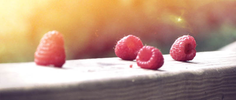 免费下载不要钱的网页攻击平台